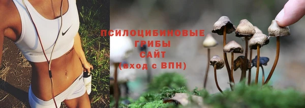 герыч Алексин