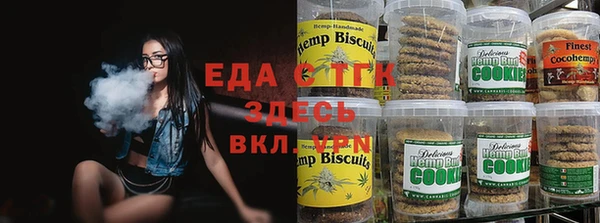 тгк Инсар