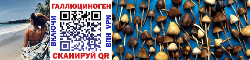 Галлюциногенные грибы MAGIC MUSHROOMS  Анжеро-Судженск 