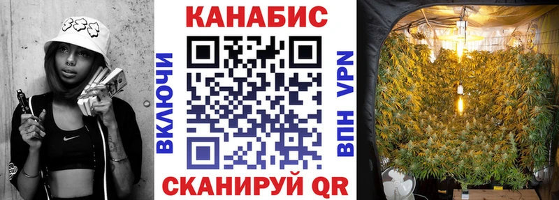 Бошки марихуана Amnesia  omg tor  Анжеро-Судженск 